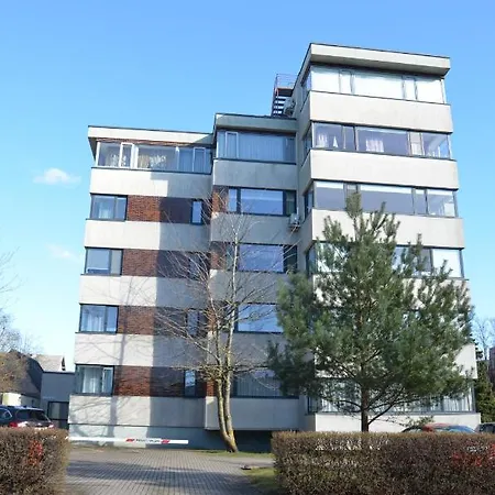 Panoramic In The Center Паланга