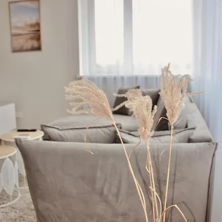 Panoramic In The Center Паланга