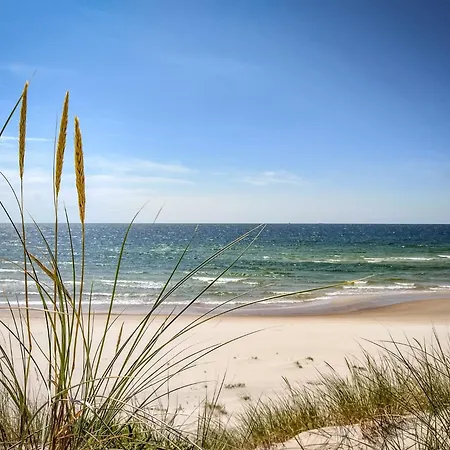 아파트 Panoramic In The Center 팔랑가