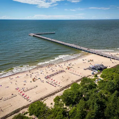 Panoramic In The Center