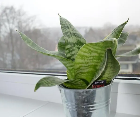 Panoramic In The Center Apartment