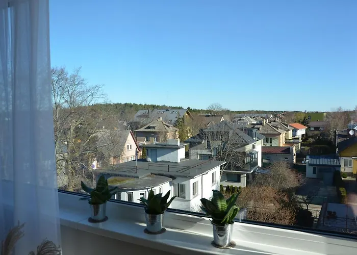 Panoramic In The Center Apartment Palanga