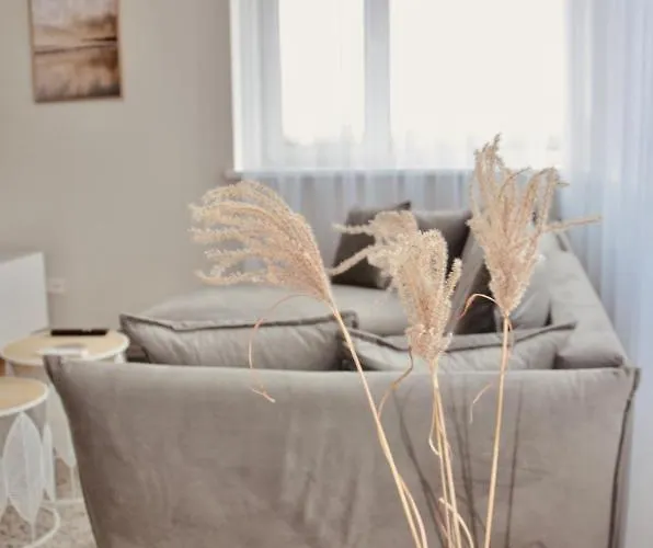 Panoramic In The Center Palanga