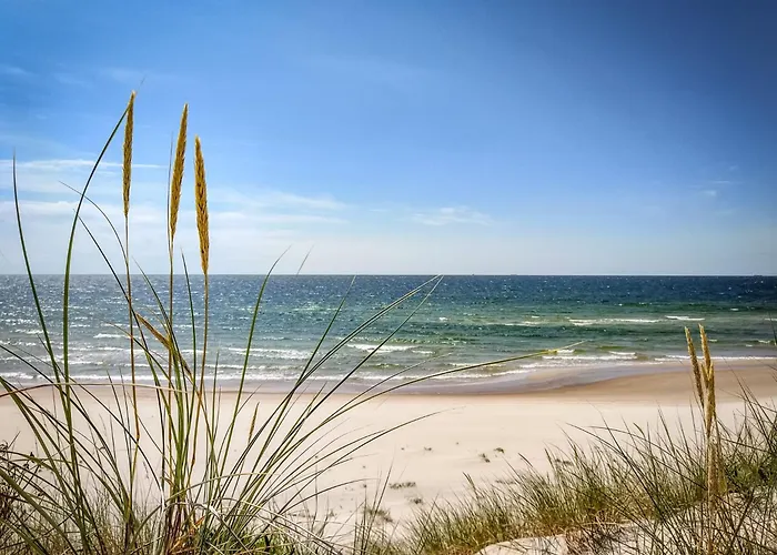 דירה Panoramic In The Center פלאנגה