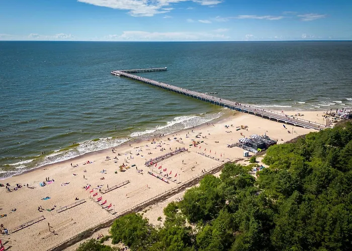 Panoramic In The Center